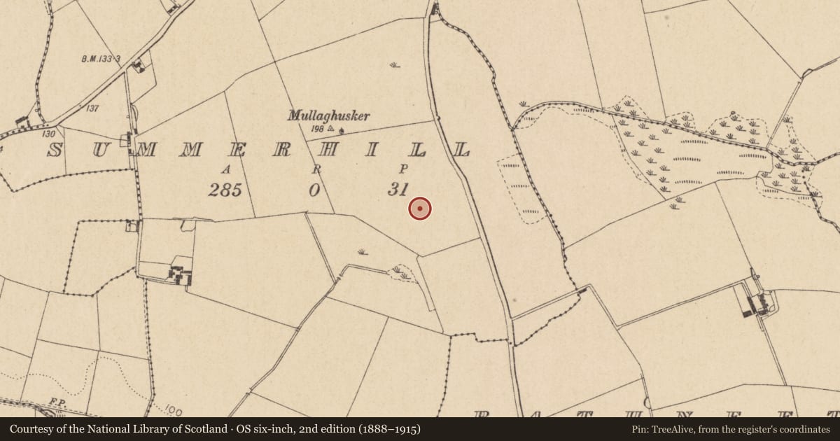 Ordnance Survey six-inch map, 2nd edition (1888–1915) covering the location of Ring-ditch, Summerhill, County Louth, with a pin at the register's coordinates
