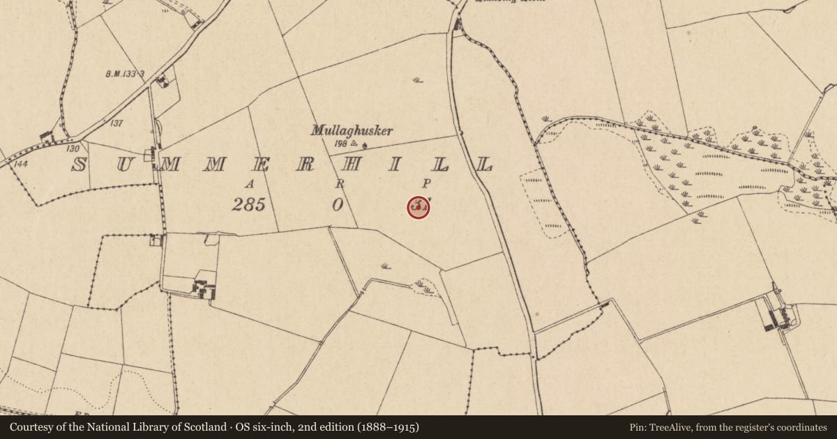 Ordnance Survey six-inch map, 2nd edition (1888–1915) covering the location of Enclosure, Summerhill, County Louth, with a pin at the register's coordinates