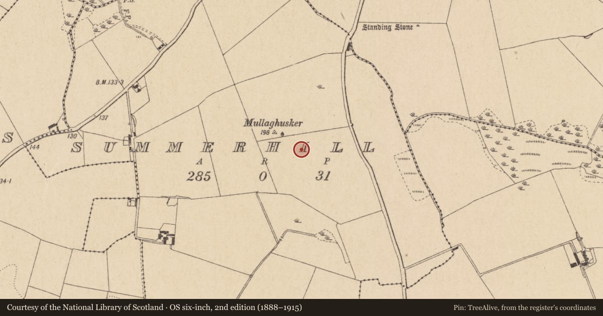Ordnance Survey six-inch map, 2nd edition (1888–1915) covering the location of Ring-ditch, Summerhill, County Louth, with a pin at the register's coordinates