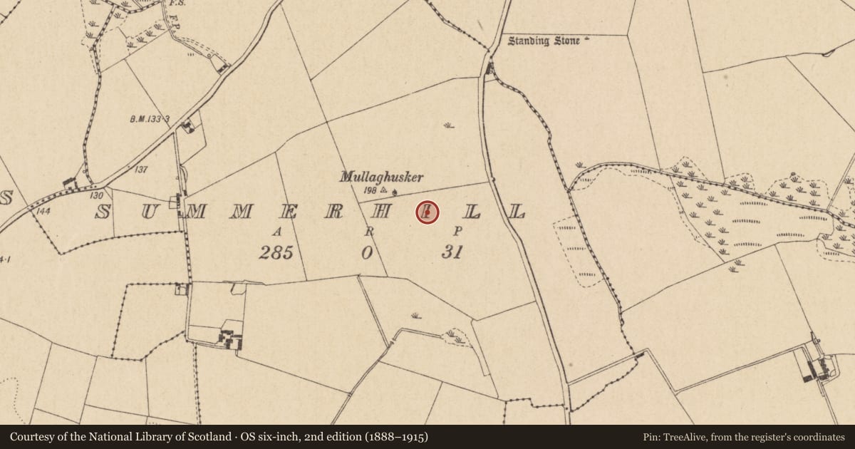 Ordnance Survey six-inch map, 2nd edition (1888–1915) covering the location of Ring-ditch, Summerhill, County Louth, with a pin at the register's coordinates
