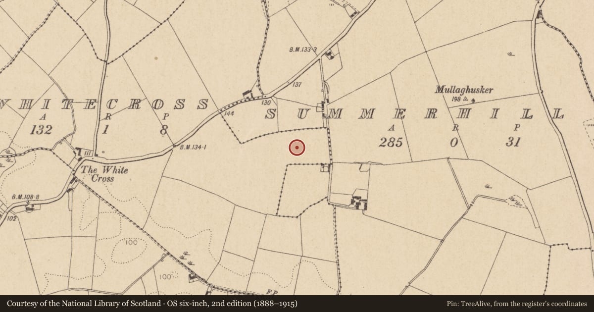 Ordnance Survey six-inch map, 2nd edition (1888–1915) covering the location of Enclosure, Whitecross, County Louth, with a pin at the register's coordinates