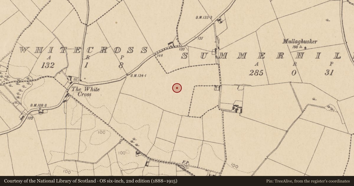 Ordnance Survey six-inch map, 2nd edition (1888–1915) covering the location of Enclosure, Whitecross, County Louth, with a pin at the register's coordinates