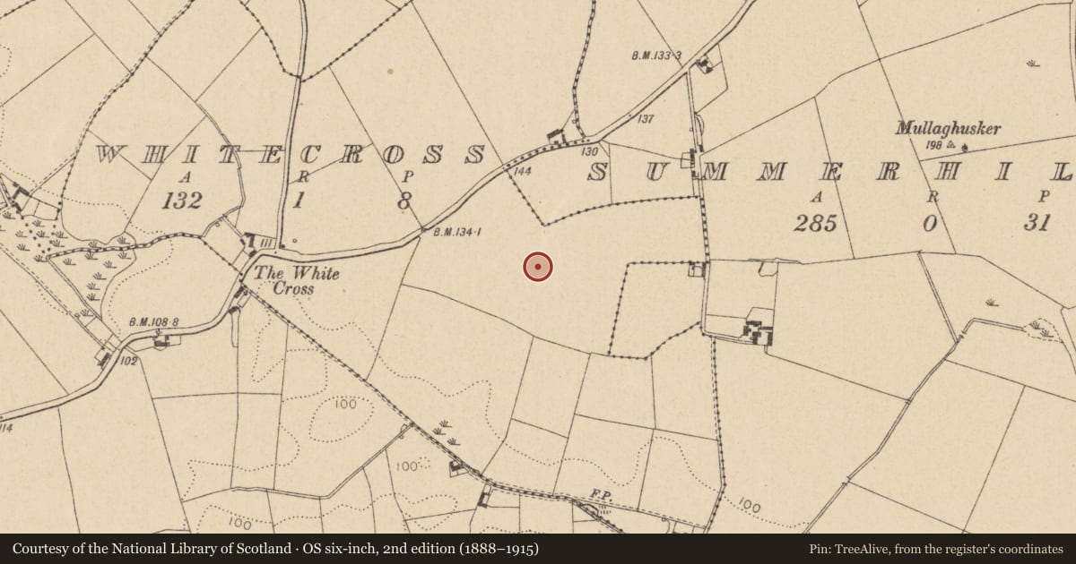 Ordnance Survey six-inch map, 2nd edition (1888–1915) covering the location of Enclosure, Whitecross, County Louth, with a pin at the register's coordinates