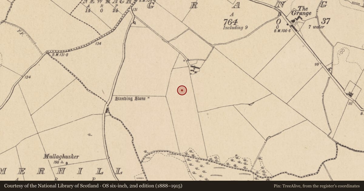 Ordnance Survey six-inch map, 2nd edition (1888–1915) covering the location of Enclosure, Grange, County Louth, with a pin at the register's coordinates