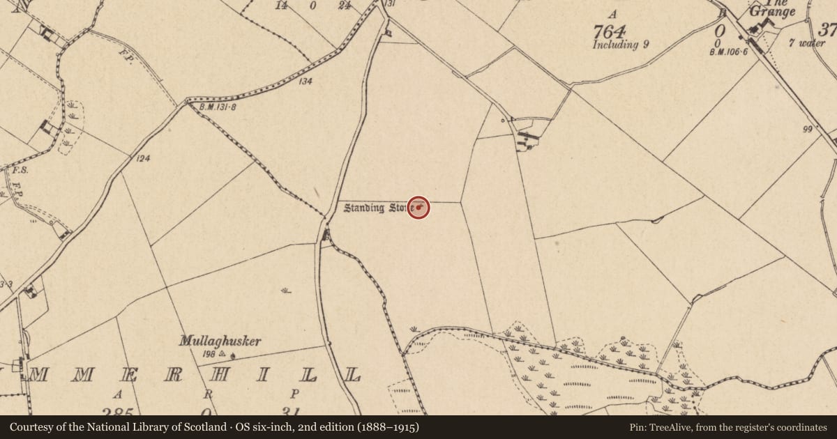 Ordnance Survey six-inch map, 2nd edition (1888–1915) covering the location of Standing stone, Grange, County Louth, with a pin at the register's coordinates