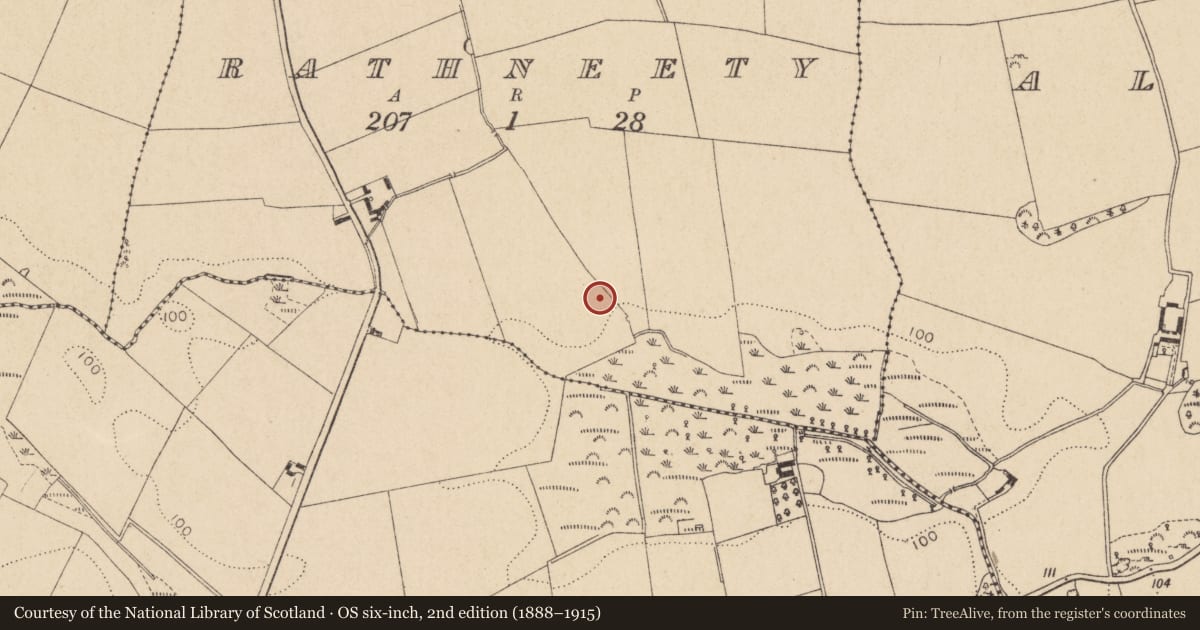 Ordnance Survey six-inch map, 2nd edition (1888–1915) covering the location of Enclosure, Rathneety (Louth by, County Louth, with a pin at the register's coordinates