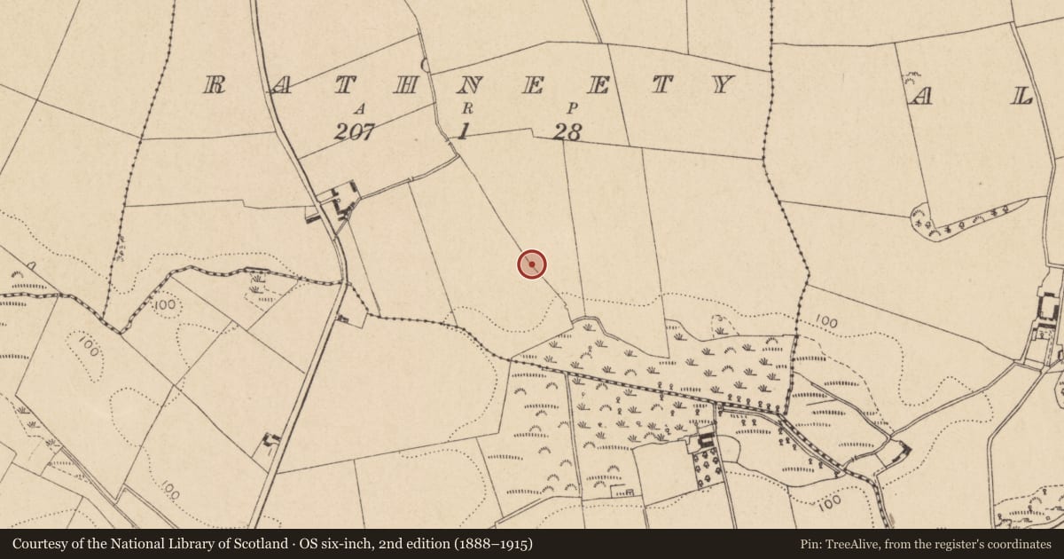 Ordnance Survey six-inch map, 2nd edition (1888–1915) covering the location of Linear earthwork, Rathneety (Louth by, County Louth, with a pin at the register's coordinates