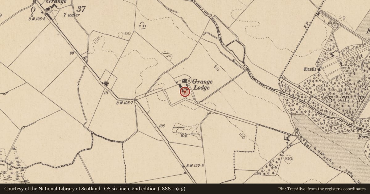 Ordnance Survey six-inch map, 2nd edition (1888–1915) covering the location of Souterrain, Grange, County Louth, with a pin at the register's coordinates