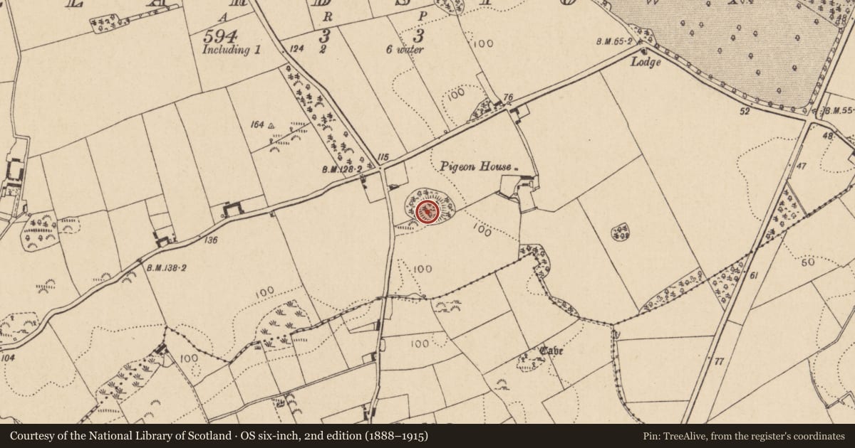 Ordnance Survey six-inch map, 2nd edition (1888–1915) covering the location of Ringfort - rath, Allardstown, County Louth, with a pin at the register's coordinates