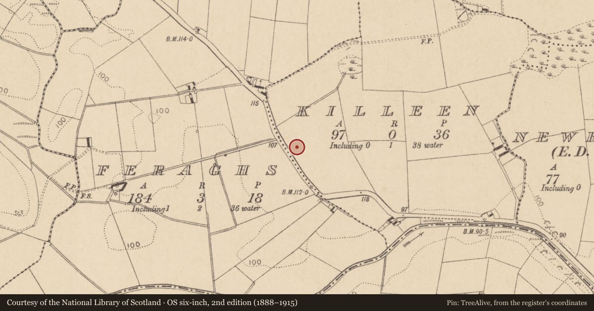 Ordnance Survey six-inch map, 2nd edition (1888–1915) covering the location of Earthwork, Killeen, County Louth, with a pin at the register's coordinates