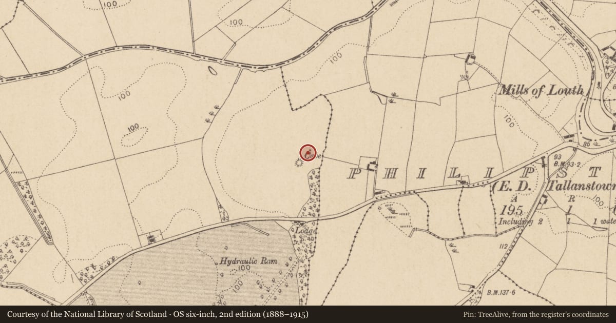 Ordnance Survey six-inch map, 2nd edition (1888–1915) covering the location of Souterrain, Thomastown (Ardee By., Philipstown Par.), County Louth, with a pin at the register's coordinates