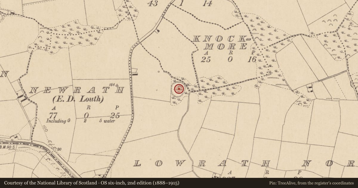 Ordnance Survey six-inch map, 2nd edition (1888–1915) covering the location of Ringfort - rath, Lowrath North, County Louth, with a pin at the register's coordinates
