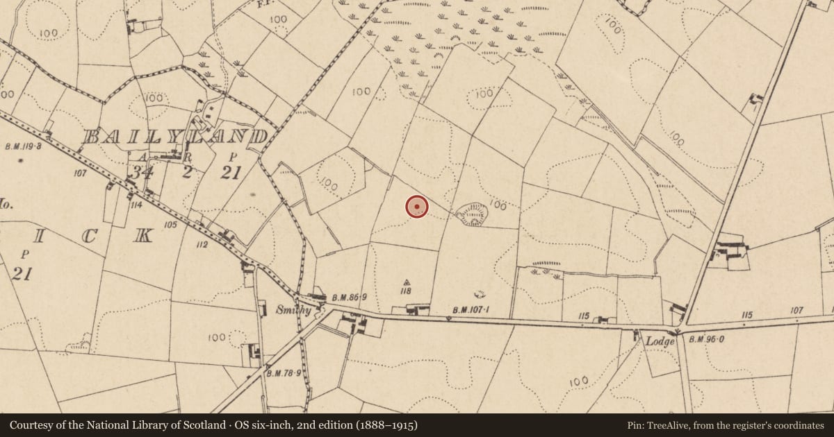 Ordnance Survey six-inch map, 2nd edition (1888–1915) covering the location of Souterrain, Corderry, County Louth, with a pin at the register's coordinates