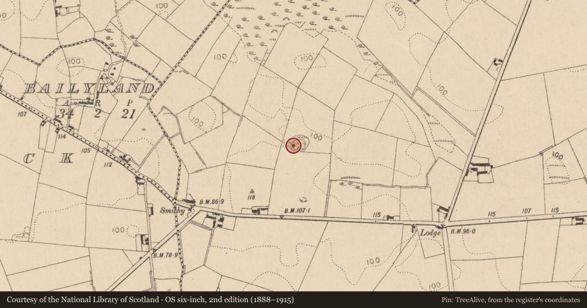 Ordnance Survey six-inch map, 2nd edition (1888–1915) covering the location of Ringfort - rath, Corderry, County Louth, with a pin at the register's coordinates
