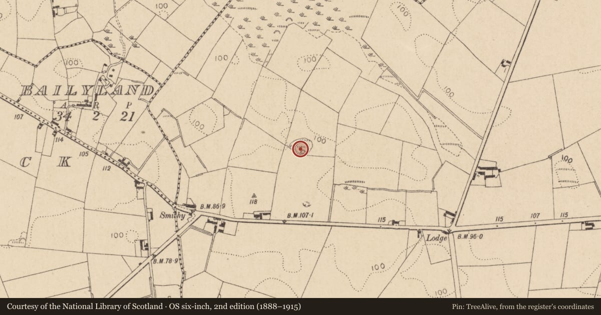 Ordnance Survey six-inch map, 2nd edition (1888–1915) covering the location of Souterrain, Corderry, County Louth, with a pin at the register's coordinates