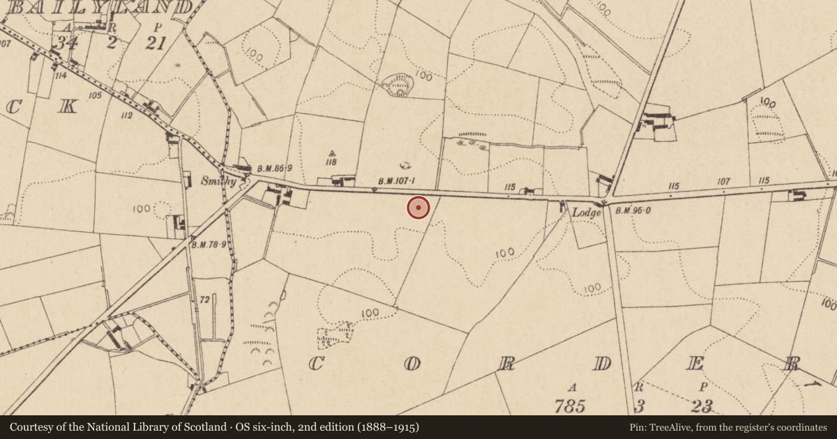 Ordnance Survey six-inch map, 2nd edition (1888–1915) covering the location of Souterrain, Corderry, County Louth, with a pin at the register's coordinates