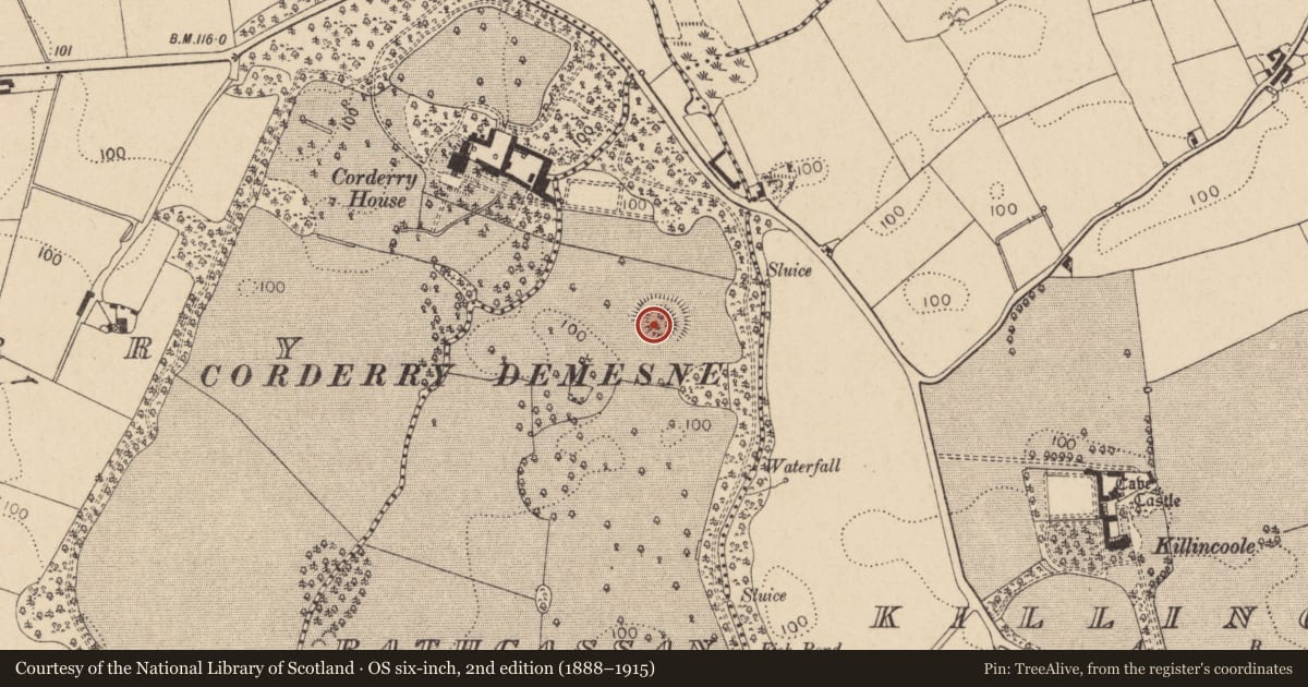 Ordnance Survey six-inch map, 2nd edition (1888–1915) covering the location of Ringfort - rath, Rathcassan, County Louth, with a pin at the register's coordinates