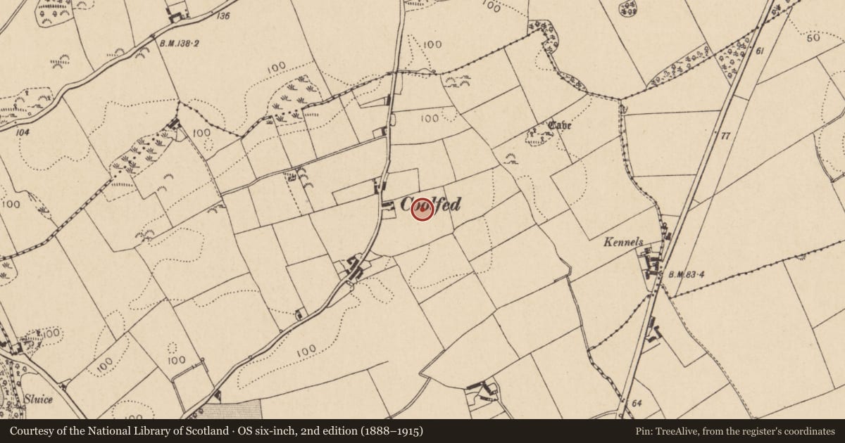 Ordnance Survey six-inch map, 2nd edition (1888–1915) covering the location of Enclosure, Killincoole, County Louth, with a pin at the register's coordinates