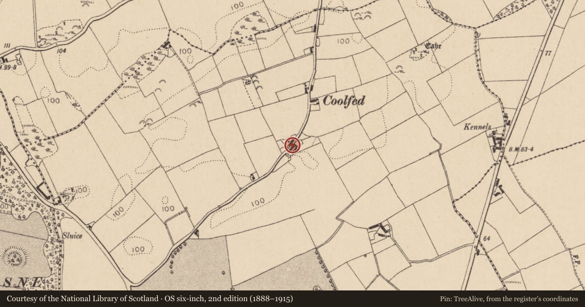 Ordnance Survey six-inch map, 2nd edition (1888–1915) covering the location of Souterrain, Killincoole, County Louth, with a pin at the register's coordinates