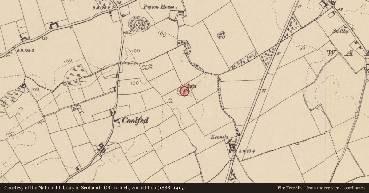 Ordnance Survey six-inch map, 2nd edition (1888–1915) covering the location of Souterrain, Killincoole, County Louth, with a pin at the register's coordinates