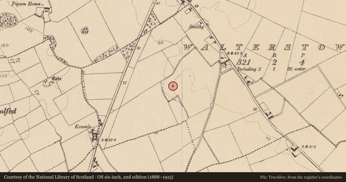 Ordnance Survey six-inch map, 2nd edition (1888–1915) covering the location of Fulacht fia, Walterstown, County Louth, with a pin at the register's coordinates