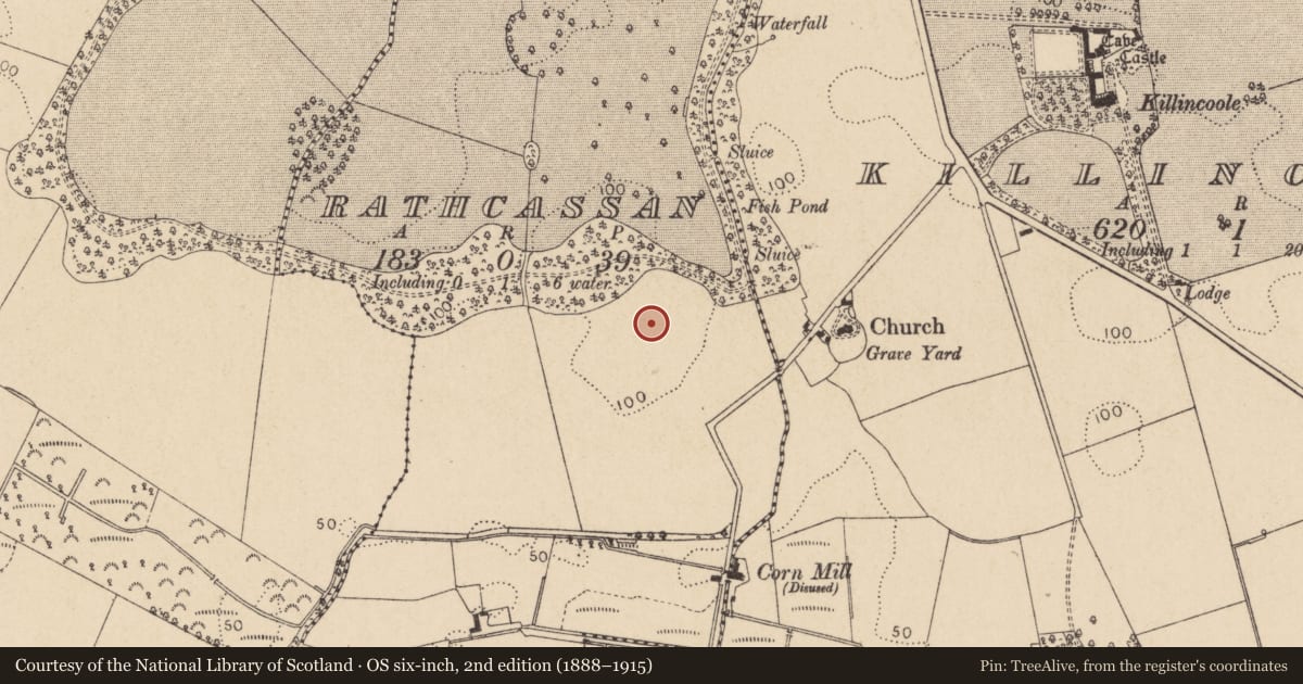 Ordnance Survey six-inch map, 2nd edition (1888–1915) covering the location of Enclosure, Rathcassan, County Louth, with a pin at the register's coordinates