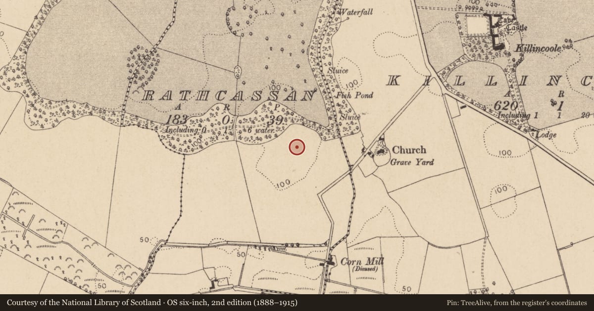Ordnance Survey six-inch map, 2nd edition (1888–1915) covering the location of Enclosure, Rathcassan, County Louth, with a pin at the register's coordinates