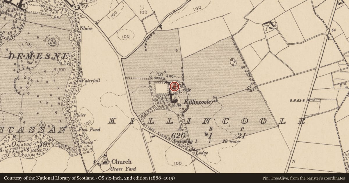 Ordnance Survey six-inch map, 2nd edition (1888–1915) covering the location of Castle - tower house, Killincoole, County Louth, with a pin at the register's coordinates