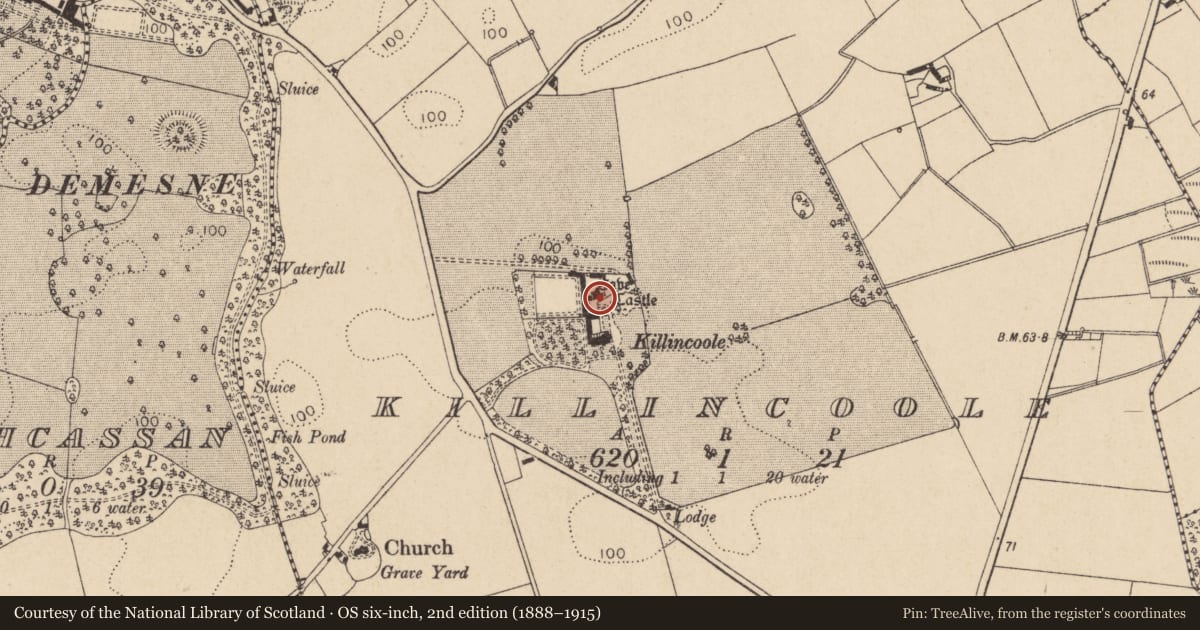Ordnance Survey six-inch map, 2nd edition (1888–1915) covering the location of Souterrain, Killincoole, County Louth, with a pin at the register's coordinates