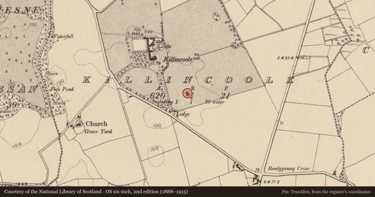 Ordnance Survey six-inch map, 2nd edition (1888–1915) covering the location of Enclosure, Killincoole, County Louth, with a pin at the register's coordinates