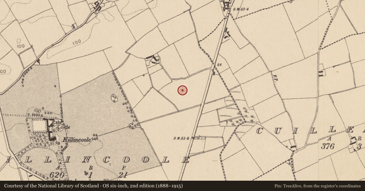 Ordnance Survey six-inch map, 2nd edition (1888–1915) covering the location of Enclosure, Killincoole, County Louth, with a pin at the register's coordinates