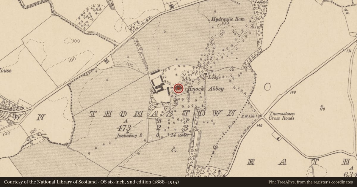Ordnance Survey six-inch map, 2nd edition (1888–1915) covering the location of Castle - tower house, Thomastown (Ardee By., Philipstown Par.), County Louth, with a pin at the register's coordinates