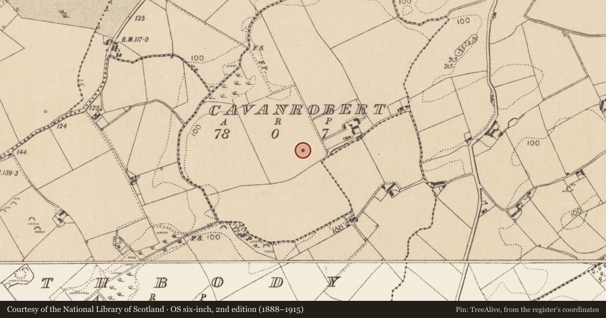 Ordnance Survey six-inch map, 2nd edition (1888–1915) covering the location of Enclosure, Cavanrobert, County Louth, with a pin at the register's coordinates