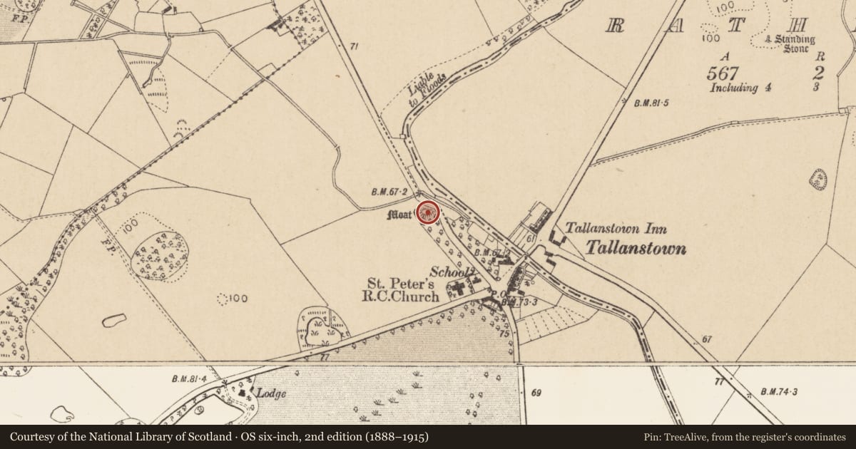 Ordnance Survey six-inch map, 2nd edition (1888–1915) covering the location of Castle - motte and bailey, Louth Hall, County Louth, with a pin at the register's coordinates
