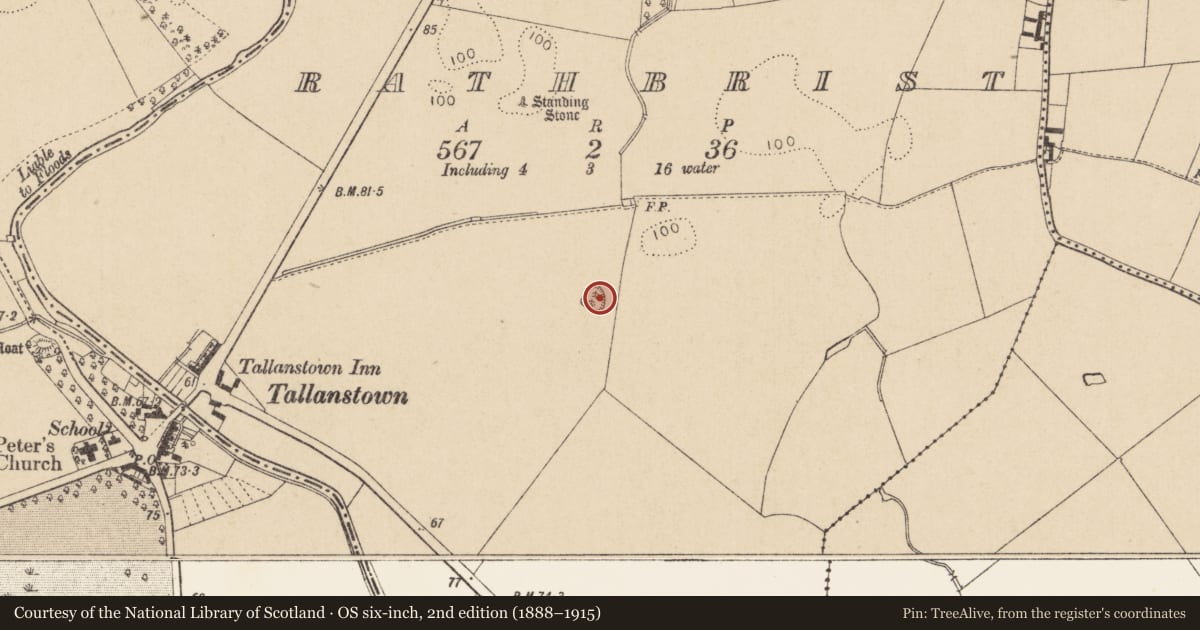 Ordnance Survey six-inch map, 2nd edition (1888–1915) covering the location of Enclosure, Rathbrist, County Louth, with a pin at the register's coordinates