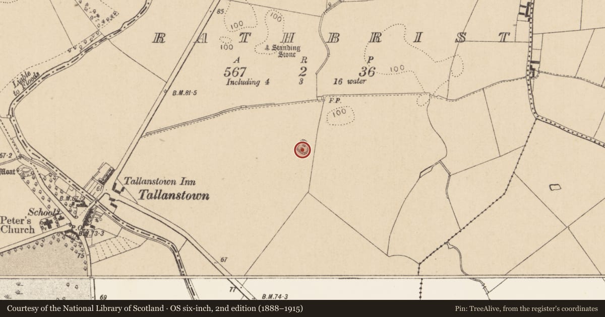 Ordnance Survey six-inch map, 2nd edition (1888–1915) covering the location of Hut site, Rathbrist, County Louth, with a pin at the register's coordinates