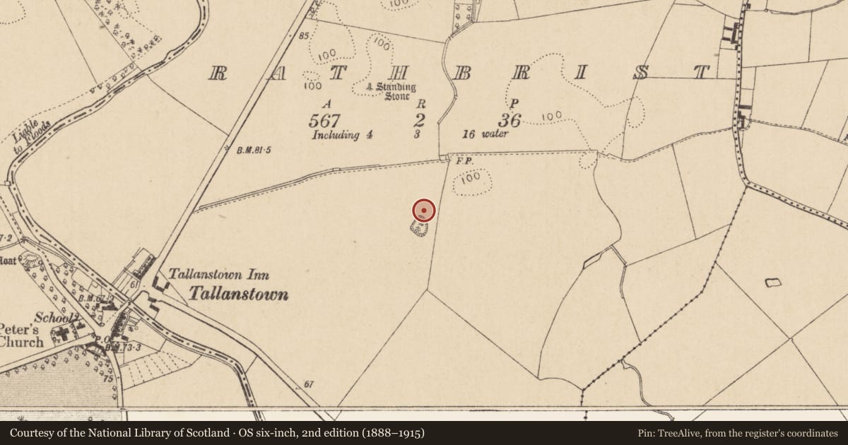 Ordnance Survey six-inch map, 2nd edition (1888–1915) covering the location of Hut site, Rathbrist, County Louth, with a pin at the register's coordinates