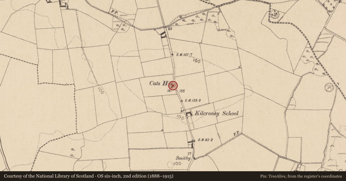 Ordnance Survey six-inch map, 2nd edition (1888–1915) covering the location of Church, Kilcroney, County Louth, with a pin at the register's coordinates