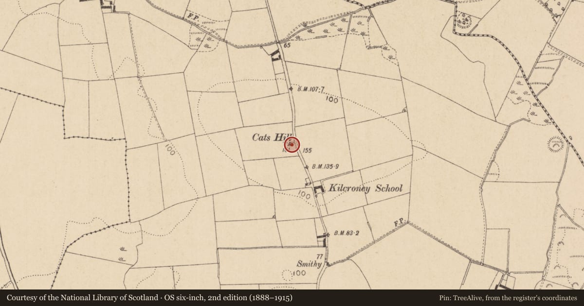 Ordnance Survey six-inch map, 2nd edition (1888–1915) covering the location of Graveyard, Kilcroney, County Louth, with a pin at the register's coordinates