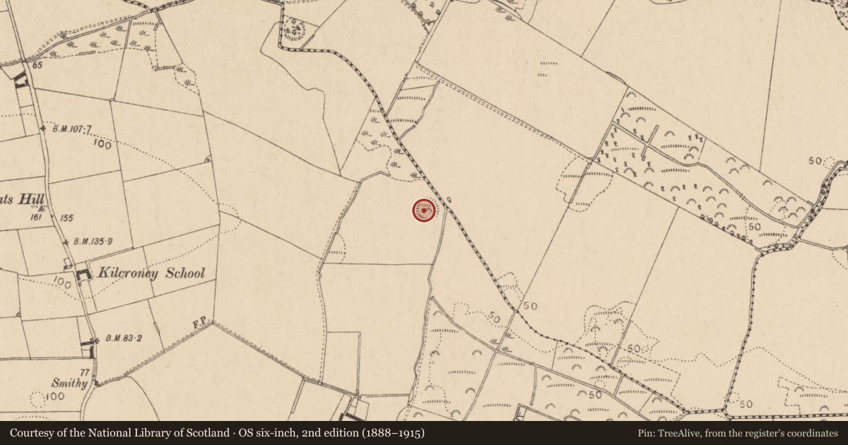 Ordnance Survey six-inch map, 2nd edition (1888–1915) covering the location of Ringfort - rath, Kilcroney, County Louth, with a pin at the register's coordinates