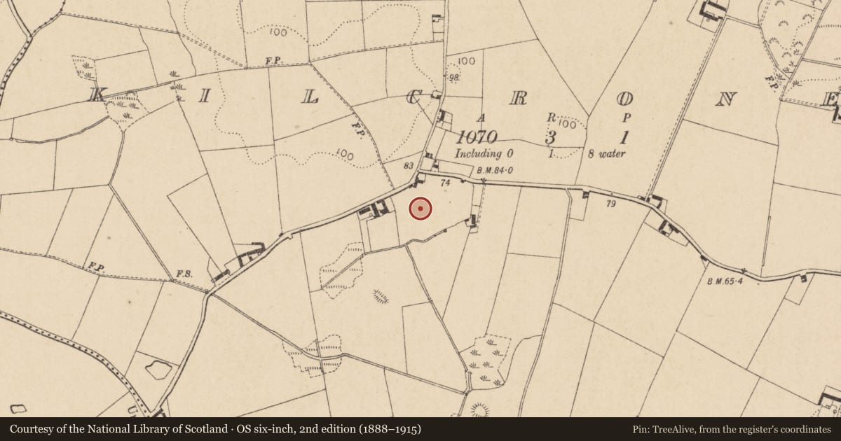 Ordnance Survey six-inch map, 2nd edition (1888–1915) covering the location of Burial ground, Kilcroney, County Louth, with a pin at the register's coordinates
