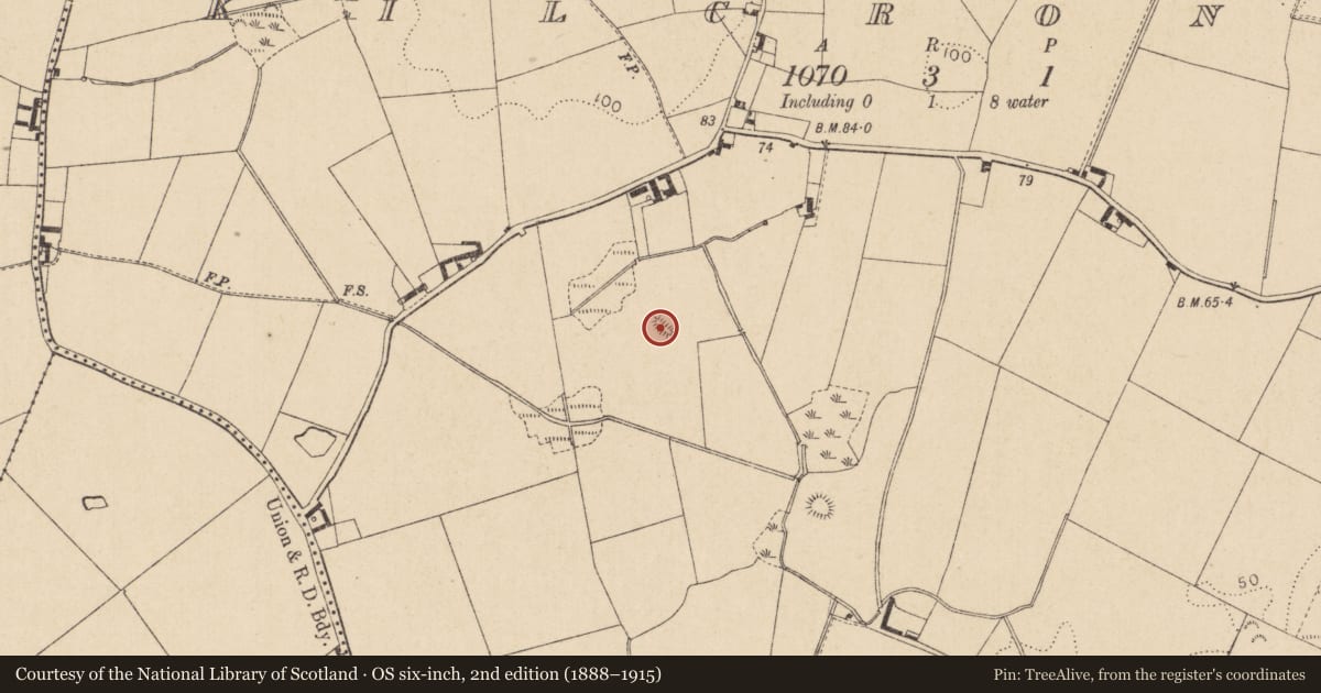 Ordnance Survey six-inch map, 2nd edition (1888–1915) covering the location of Ringfort - rath, Kilcroney, County Louth, with a pin at the register's coordinates