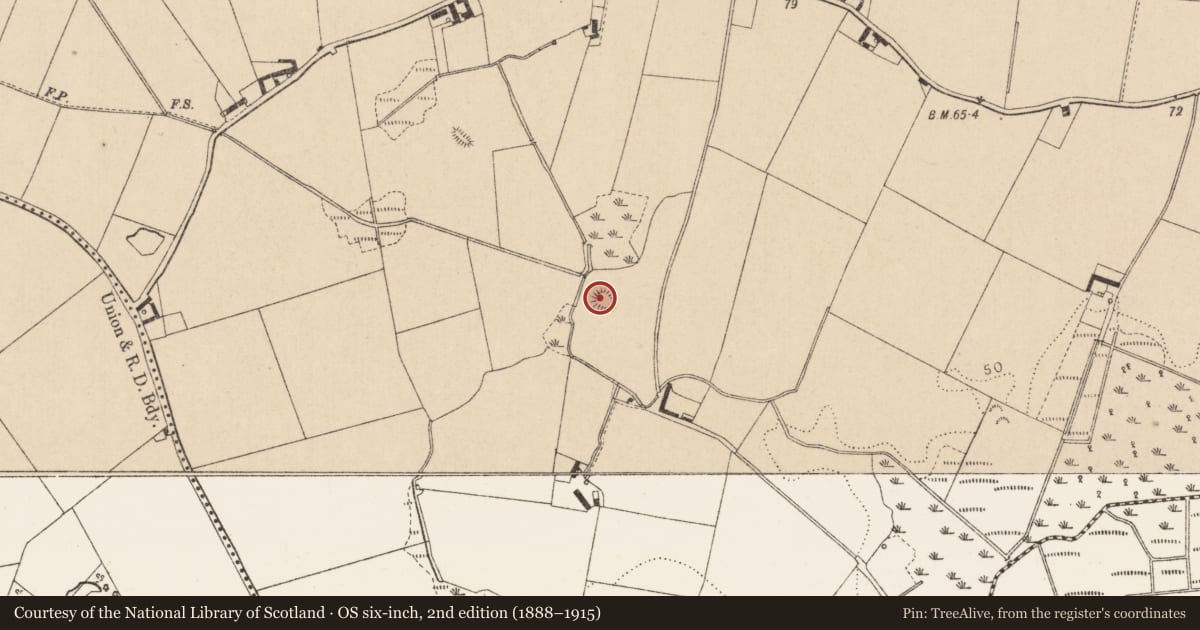 Ordnance Survey six-inch map, 2nd edition (1888–1915) covering the location of Ringfort - rath, Kilcroney, County Louth, with a pin at the register's coordinates