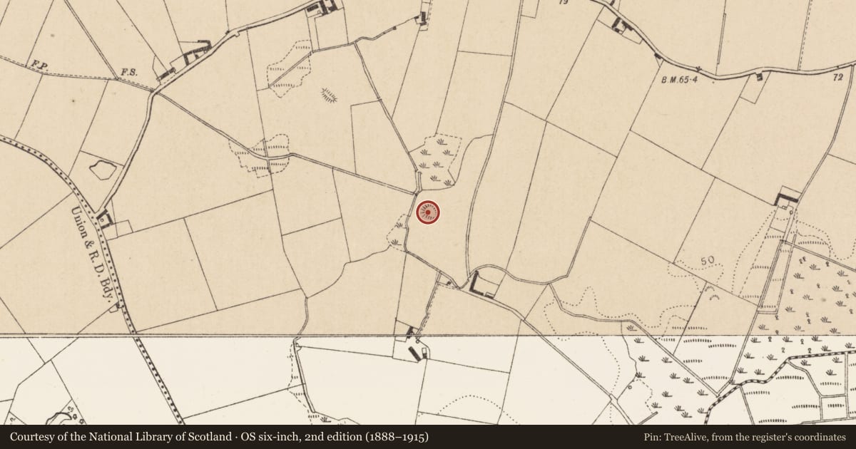 Ordnance Survey six-inch map, 2nd edition (1888–1915) covering the location of Souterrain, Kilcroney, County Louth, with a pin at the register's coordinates