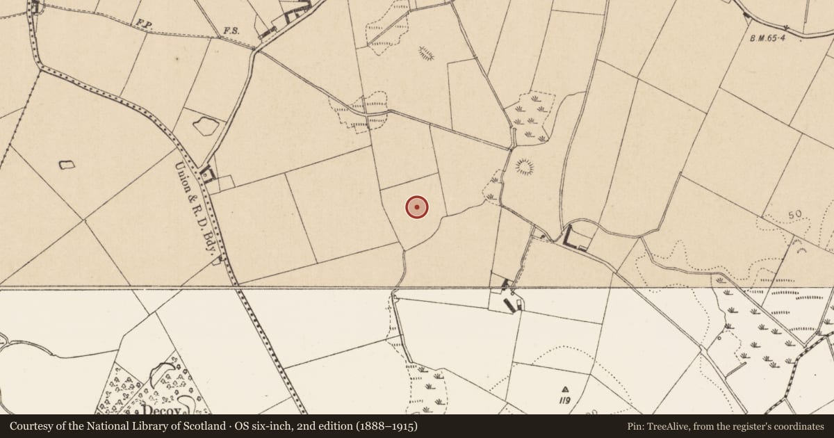 Ordnance Survey six-inch map, 2nd edition (1888–1915) covering the location of Enclosure, Kilcroney, County Louth, with a pin at the register's coordinates