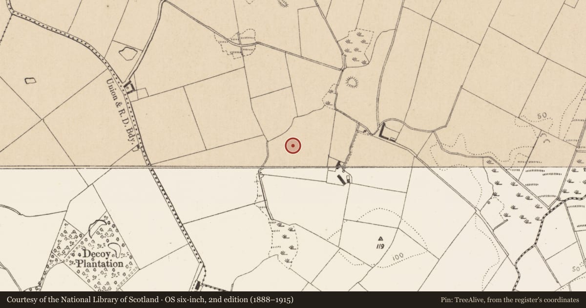 Ordnance Survey six-inch map, 2nd edition (1888–1915) covering the location of Enclosure, Kilcroney, County Louth, with a pin at the register's coordinates