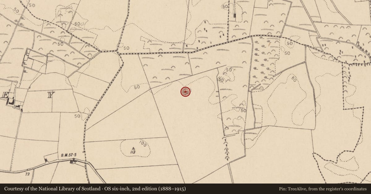Ordnance Survey six-inch map, 2nd edition (1888–1915) covering the location of Souterrain, Christianstown, County Louth, with a pin at the register's coordinates
