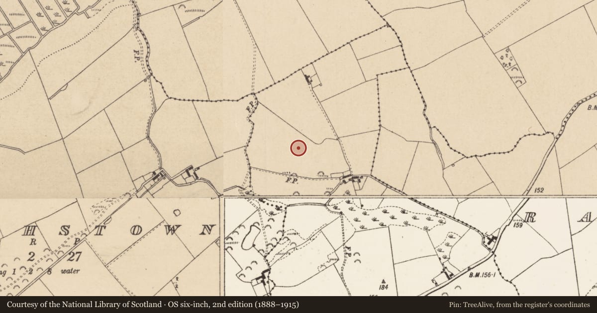 Ordnance Survey six-inch map, 2nd edition (1888–1915) covering the location of Enclosure, Arthurstown, County Louth, with a pin at the register's coordinates