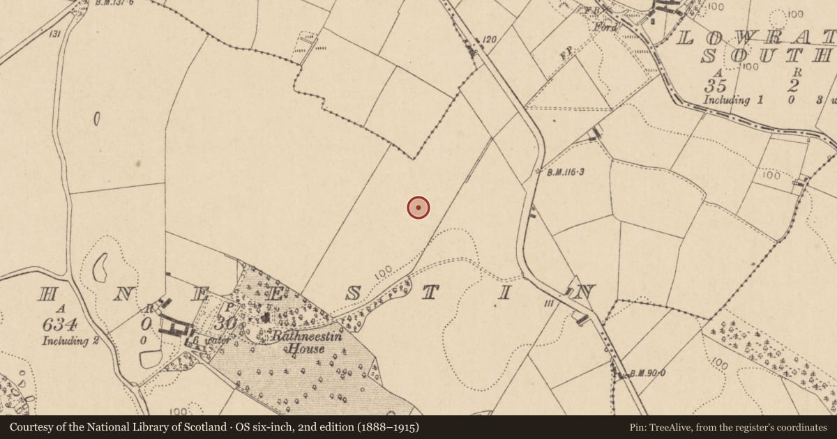 Ordnance Survey six-inch map, 2nd edition (1888–1915) covering the location of Castle - tower house, Rathneestin, County Louth, with a pin at the register's coordinates