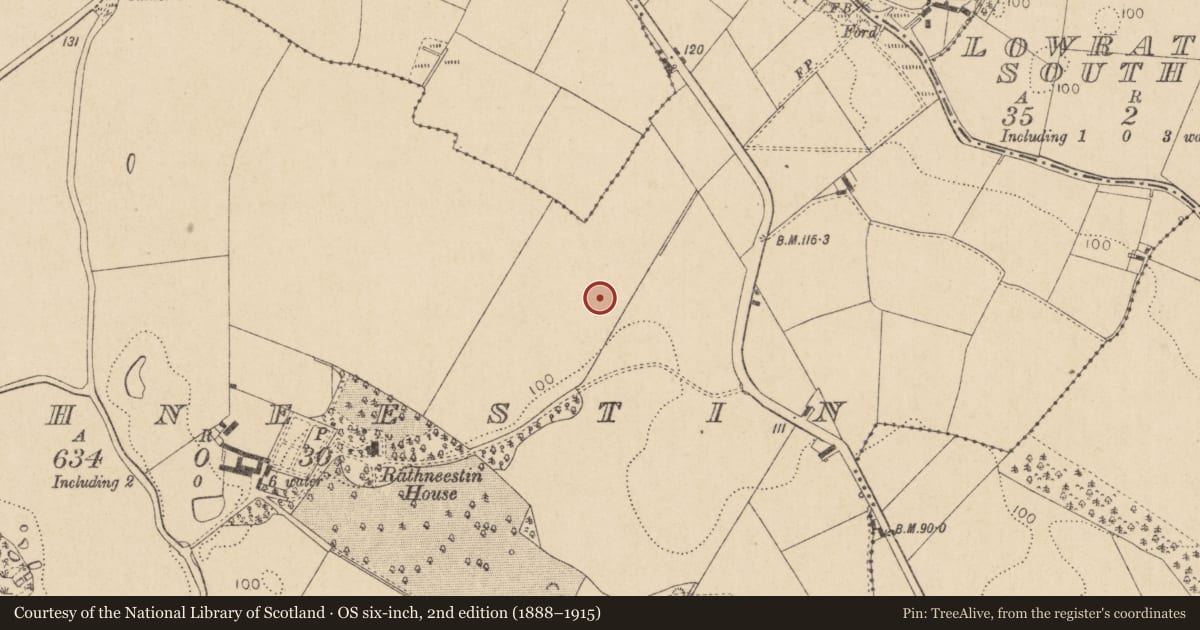 Ordnance Survey six-inch map, 2nd edition (1888–1915) covering the location of Bawn, Rathneestin, County Louth, with a pin at the register's coordinates